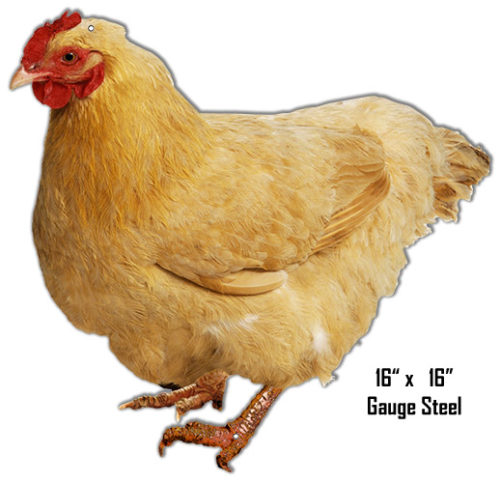 Hen Animal Wall Art Laser Cut Out Sign 16x17