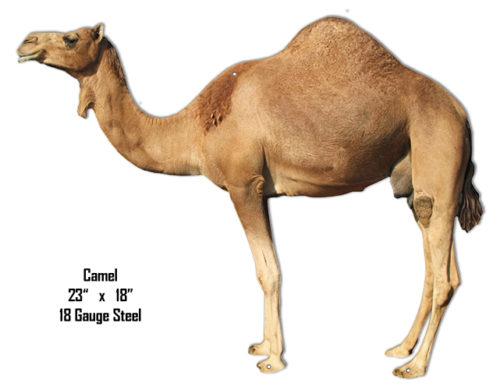 Camel Animal Wall Art Laser Cut Out  Sign 18x23