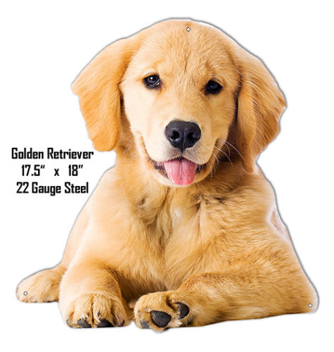 Baby Golden Retriever Wall Art Laser Cut Out  Sign 17.5x18