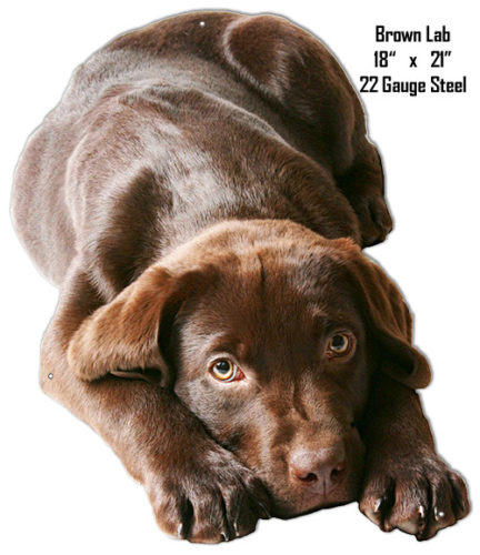 Baby Brown Lab Wall Art Laser Cut Out  Sign 18x21